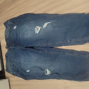 Melissa McCarthy Seven7 Jeans